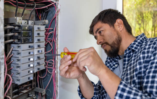 Best Electric Panel Repair  in Lake Hallie, WI